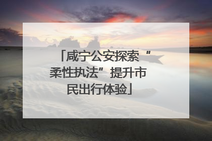 咸宁公安探索“柔性执法”提升市民出行体验